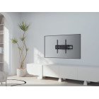 eshop